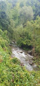 Plav Riverside Village