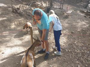 Campings Camping Paradis Domaine de Gaujac : photos des chambres