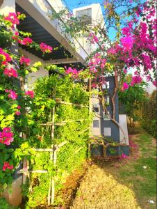 Beach Oceanami Villa