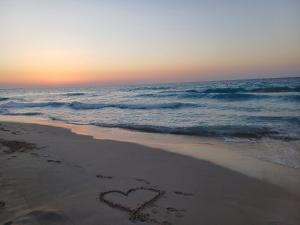 جليم الإسكندرية