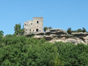 Maisons de vacances Gite nature les ANOURES en PROVENCE : photos des chambres