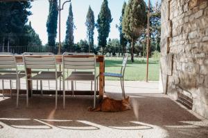 Maisons de vacances Mas des Ecoliers - Ecochic family farmhouse : photos des chambres