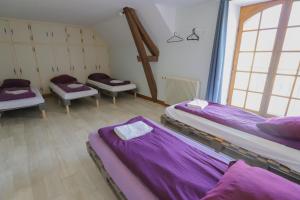 Villas Crazy Villa Gouadiere 45 - Heated pool - Basket - 1h45 from Paris - 30p : photos des chambres
