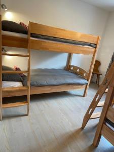 Ferienwohnung mit privater Sauna und direktem Zugang zur Skipiste