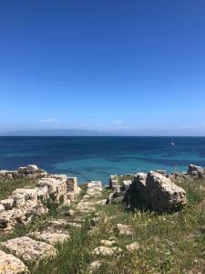 Ale house experience img62