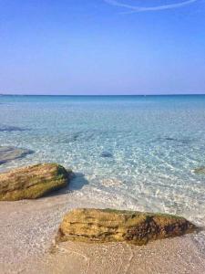 Ale house experience img57