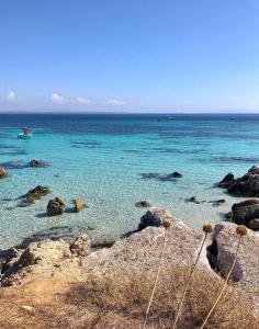 Ale house experience img55