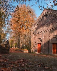 Ale house experience img53