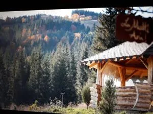 Ciumarna Holiday House - 苏恰维塔