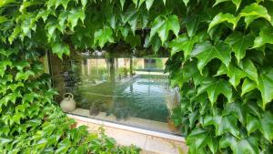 Maisons de vacances Refuge Champetre - Piscine interieure - Detente : photos des chambres