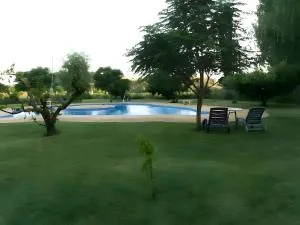 El Melocotonero - Diezma