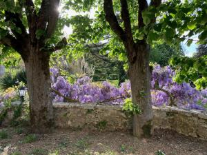 Le château La Villaine Magnifique château au cœur de la Touraine