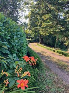 Le château La Villaine Magnifique château au cœur de la Touraine