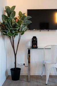 Appartements Grand studio pour deux personnes en mezzanine : photos des chambres