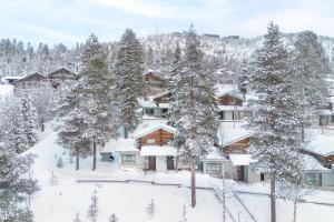 Lilla Köngäs, 2 skipasses RUKA-PYHÄ included, Skibus doorstep