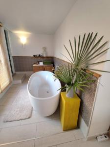 O - HO Boutique Home