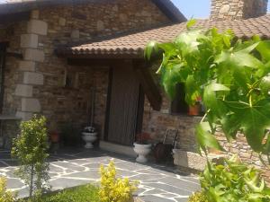 Ruta Del Aguila alojamiento turístico de calidad