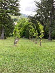 Villas Spacious villa in Tourrettes-sur-Loup with Private Lake access Sleep 16 : photos des chambres