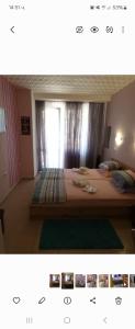 Apartamenti Ivaia 2