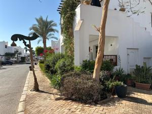 Delta Sharm Resort