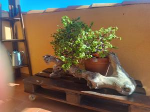 Volveremos - Sea Views Penthouse