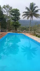 JUNGLE VALLEY AYURVEDIC SPa RESORT - Meppādi