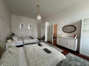 2BDR Pretty Apartment in the Local Area of Prague