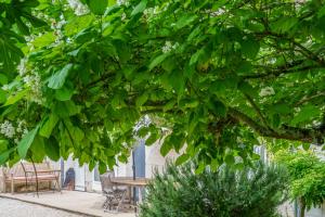 Maisons de vacances Maison de campagne sud Touraine avec piscine 8px : photos des chambres