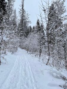 Maisons d'hotes BARMADZA Mazots de Charme : photos des chambres