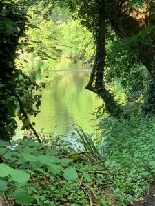 Appartements Brittany Countryside Retreat 3 Bedrooms Sleeps 6 Pet Friendly Heated Swimming Pool Free Wifi : photos des chambres