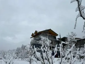 Hotel valley view - Jagatsukh