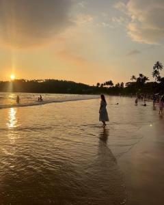 Kings Marine B&B Surf Hotel