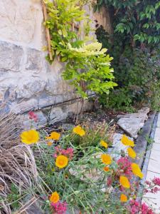 Villas Villa des Thermes, St Jean d'Angely : photos des chambres