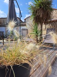 Villas Villa des Thermes, St Jean d'Angely : photos des chambres