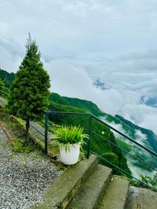 Deodar inn