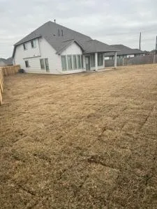 Miracle homes - Розенберг