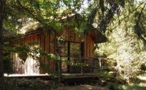 Chalet toit vegétalisé