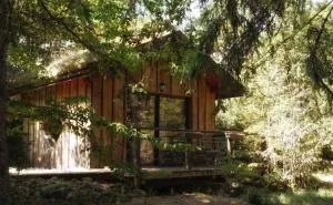 Chalet toit vegétalisé - Montanges