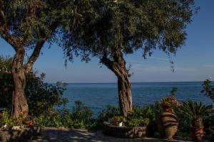 Beachfront Romantica Place Ground floor
