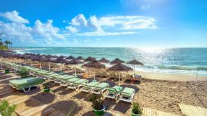 Flamingo Top Suite y Piscina junto a Puerto Marina