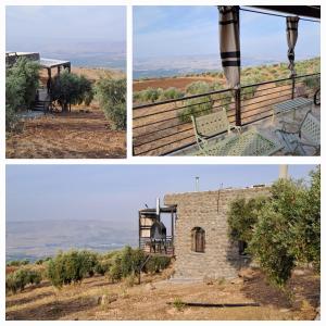 Olive house