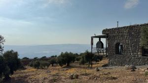 Olive house