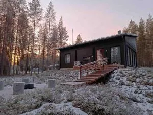 Tuikku - 普达斯耶尔维