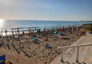 Nicas Home San Lorenzo