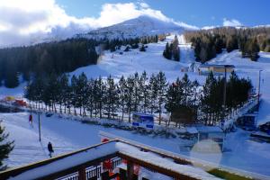 Le studio de Camille