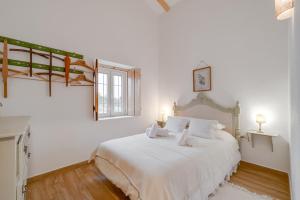 Monte Santo António - Alqueva