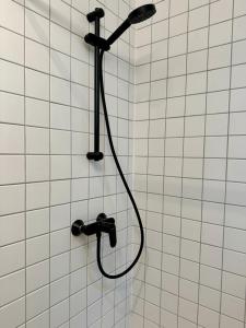 Tiny house Paris in love