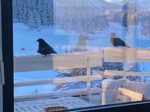 Appartements Chamrousse 1750 Roche Beranger 50m2 4-6pers Vue panoramique : photos des chambres