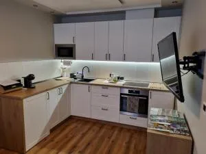 Apartament Pod jeleniem - 格武希察