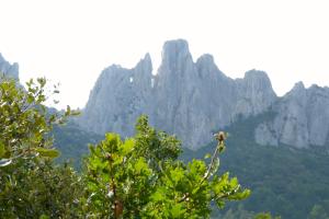 Maisons de vacances Gite nature les ANOURES en PROVENCE : photos des chambres